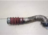 11617796303 Патрубок интеркулера BMW 3 E90, E91, E92, E93 2005-2012 20385713 #4