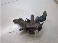 402027463R Ступица (кулак, цапфа) Renault Scenic 1996-2002 20385905 #5