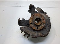  Ступица (кулак, цапфа) Skoda Fabia 2007-2014 20385943 #1
