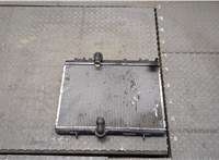  Радиатор охлаждения двигателя Volkswagen Tiguan 2007-2011 20386492 #1