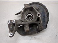  Ступица (кулак, цапфа) Volkswagen Tiguan 2007-2011 20386660 #1