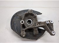  Ступица (кулак, цапфа) Volkswagen Tiguan 2007-2011 20386670 #2