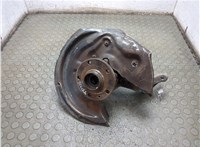 8J0598625, 3C0505433G, 5N0615611D Ступица (кулак, цапфа) Volkswagen Tiguan 2007-2011 20386670 #3
