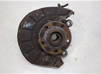  Ступица (кулак, цапфа) Volkswagen Tiguan 2007-2011 20386766 #1