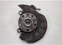  Ступица (кулак, цапфа) Volkswagen Tiguan 2007-2011 20386771 #1