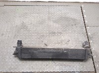 144610001N, H9467002 Радиатор интеркулера Renault Laguna 3 2007- 20387091 #4