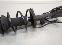 Амортизатор подвески Toyota Avensis 2 2003-2008 20387151 #1