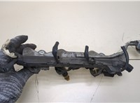 16450RGA003 Форсунка топливная Honda Insight 2009- 20387172 #2