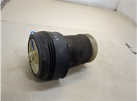 37126790079, 6790079 Пневмоподушка BMW X5 E70 2007-2013 20387219 #1
