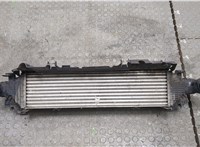  Радиатор интеркулера Mercedes E W212 2009-2016 20387311 #2
