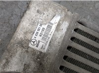  Радиатор интеркулера Mercedes Vito W639 2004-2013 20387331 #2
