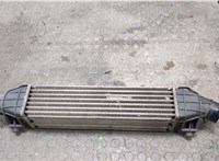  Радиатор интеркулера Ford Mondeo 3 2000-2007 20387342 #5