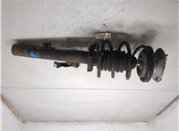310982, 31316786019 Амортизатор подвески BMW 1 E87 2004-2011 20387424 #4
