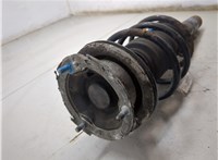 310982, 31316786019 Амортизатор подвески BMW 1 E87 2004-2011 20387424 #5