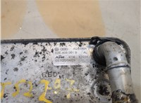  Теплообменник Volkswagen Passat 6 2005-2010 20387477 #5
