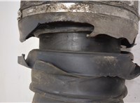  Амортизатор подвески Land Rover Range Rover Sport 2005-2013 20387488 #7