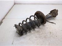  Амортизатор подвески Hyundai Tucson 1 2004-2009 20387573 #3