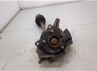  Ступица (кулак, цапфа) Hyundai Tucson 1 2004-2009 20387580 #1