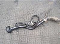 17221EA500 Горловина заливная топливная Nissan Pathfinder 2004-2014 20387723 #8