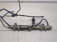  Рампа (рейка) топливная Chrysler Voyager 2001-2007 20387760 #1