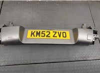  Насадка глушителя Renault Scenic RX4 11389857 #1