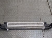 A2115001102 Радиатор интеркулера Mercedes E W211 2002-2009 20387952 #1