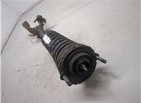 60696956, 51772431 Амортизатор подвески Alfa Romeo GT 2003-2010 20387974 #6