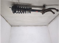 60696956, 51772431 Амортизатор подвески Alfa Romeo GT 2003-2010 20387974 #7