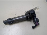 12632479 Катушка зажигания Cadillac SRX 2009-2012 20388542 #1