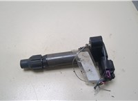 12632479 Катушка зажигания Cadillac SRX 2009-2012 20388544 #1