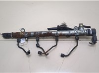  Рампа (рейка) топливная Mercedes C W203 2000-2007 20388576 #1