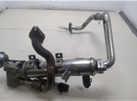  Охладитель отработанных газов Audi A4 (B8) 2007-2015 20388597 #1
