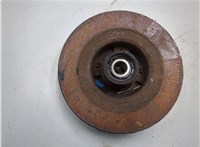 432004943R Ступица (кулак, цапфа) Renault Scenic 2003-2009 20388624 #4