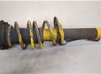  Амортизатор подвески Volkswagen Golf 4 1997-2005 20388902 #1