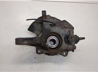  Ступица (кулак, цапфа) Hyundai Tucson 1 2004-2009 20389154 #2