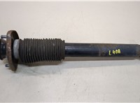  Амортизатор подвески BMW X5 E53 2000-2007 20389335 #1