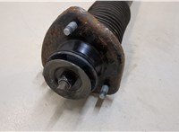  Амортизатор подвески BMW X5 E53 2000-2007 20389335 #2