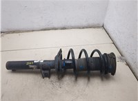 3QF413031T, 3QF411105H Амортизатор подвески Volkswagen Atlas 2017-2020 20389365 #5