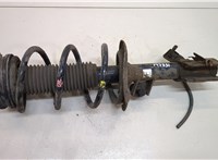  Амортизатор подвески Nissan X-Trail (T31) 2007-2015 20390169 #1