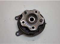  Ступица (кулак, цапфа) Nissan X-Trail (T31) 2007-2015 20390370 #1