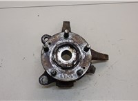  Ступица (кулак, цапфа) Hyundai Santa Fe 2000-2005 20390374 #1
