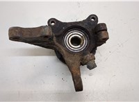  Ступица (кулак, цапфа) Hyundai Santa Fe 2000-2005 20390374 #2