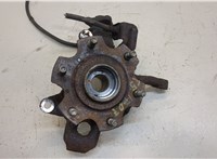  Ступица (кулак, цапфа) Mitsubishi Pajero / Montero 2000-2006 20390489 #1