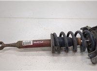  Амортизатор подвески Audi A4 (B6) 2000-2006 20390646 #1