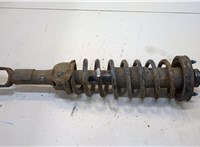  Амортизатор подвески Honda Civic 1995-2001 20390767 #1