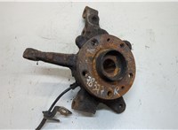  Ступица (кулак, цапфа) Renault Kangoo 2008-2013 20390813 #1