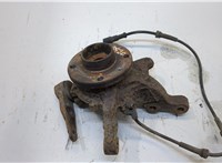  Ступица (кулак, цапфа) Renault Scenic 1996-2002 20390838 #1