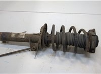  Амортизатор подвески Volkswagen Tiguan 2007-2011 20390877 #1