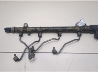  Рампа (рейка) топливная Mercedes C W204 2007-2013 20390993 #1