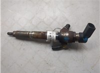 166009445R Форсунка топливная Renault Laguna 3 2007- 20391230 #1